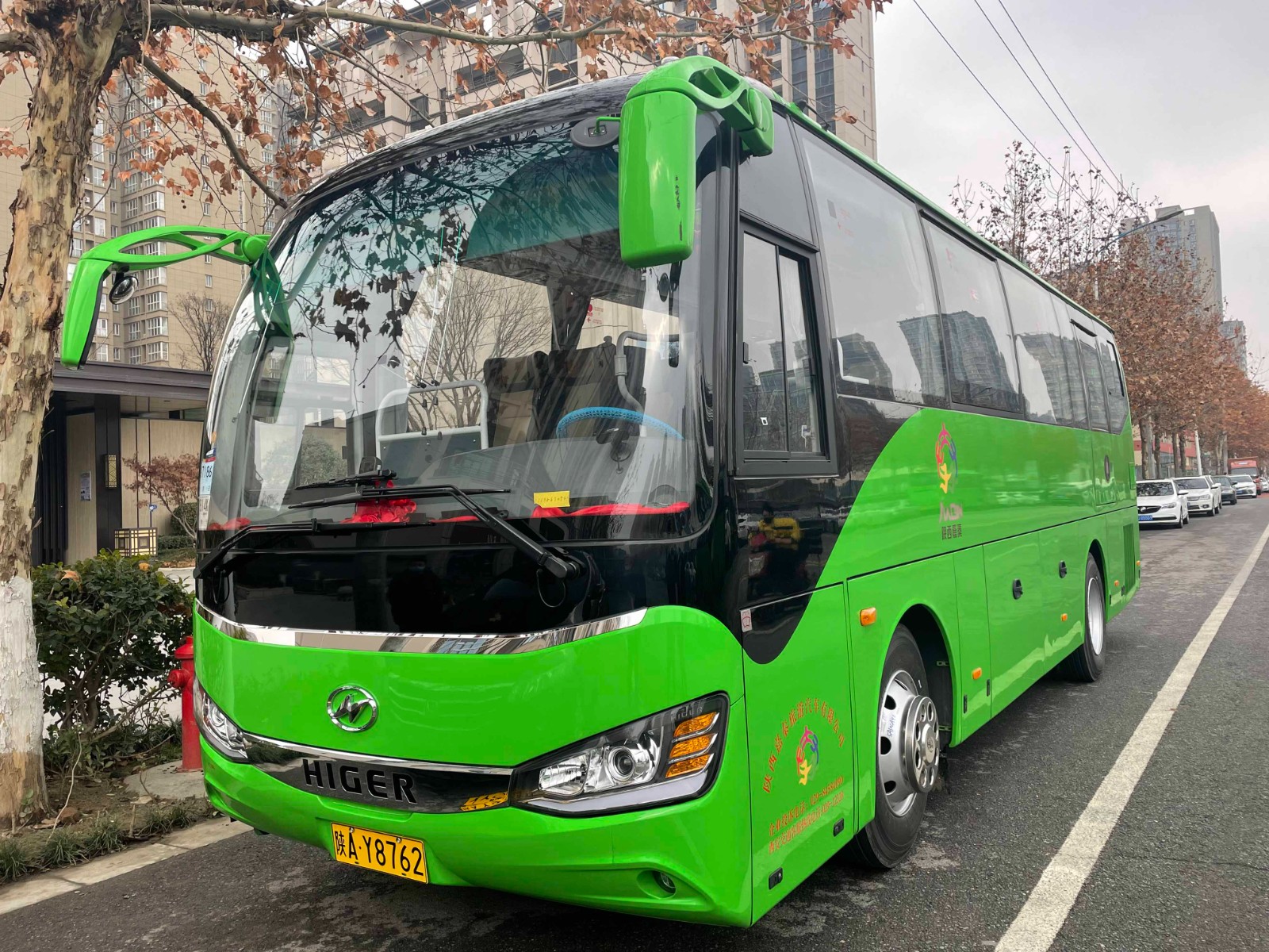 陕AY8762.jpg