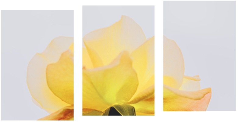 65fb7c053a077.png 微信截图_20240321081427.png